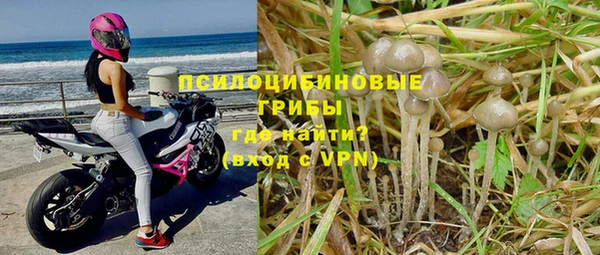 мет Аркадак