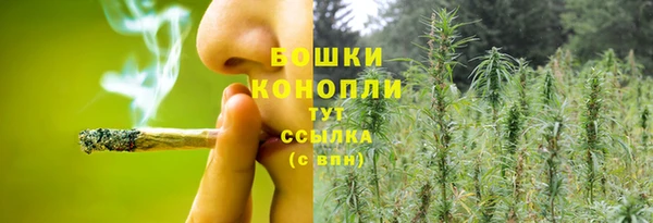 бошки Арсеньев